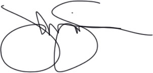 signature.jpg