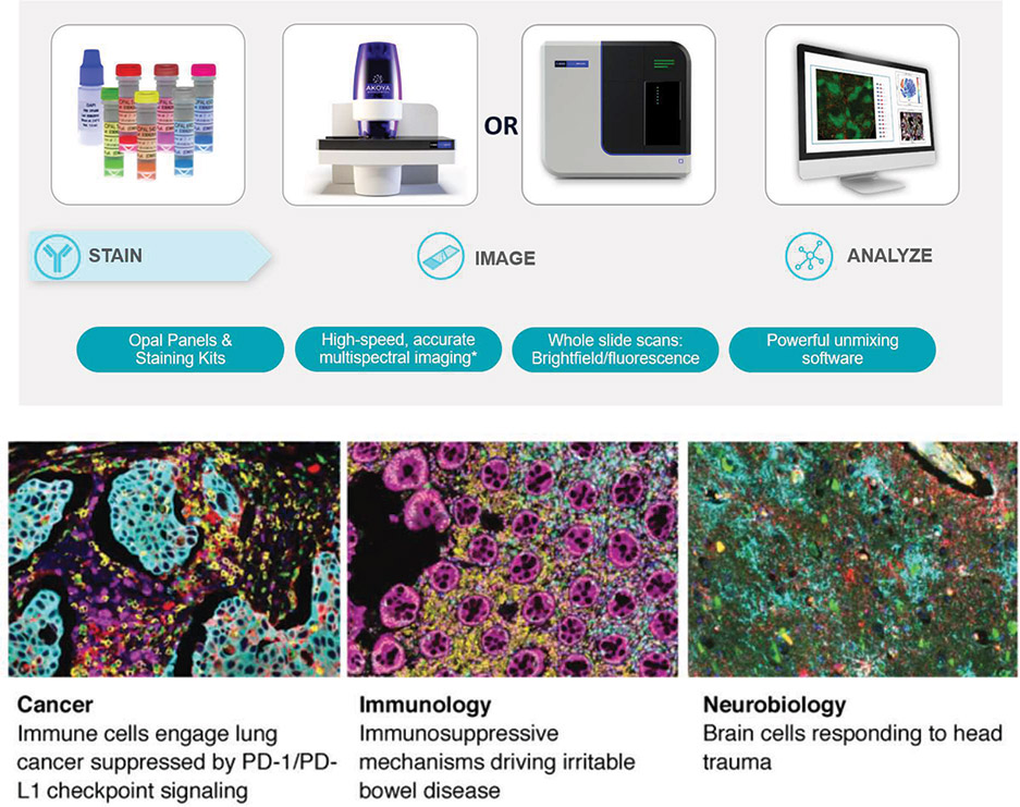 [MISSING IMAGE: ph_opalpanels-4clr.jpg]