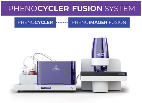 [MISSING IMAGE: ph_phenocyclerfusion-4clr.jpg]