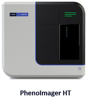 [MISSING IMAGE: ph_phenolamgerht-4clr.jpg]