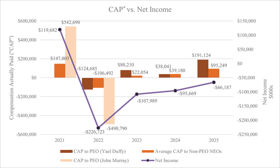 [MISSING IMAGE: bc_capvsnetincome-4c.jpg]