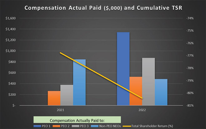 [MISSING IMAGE: bc_cumulative-4clr.jpg]