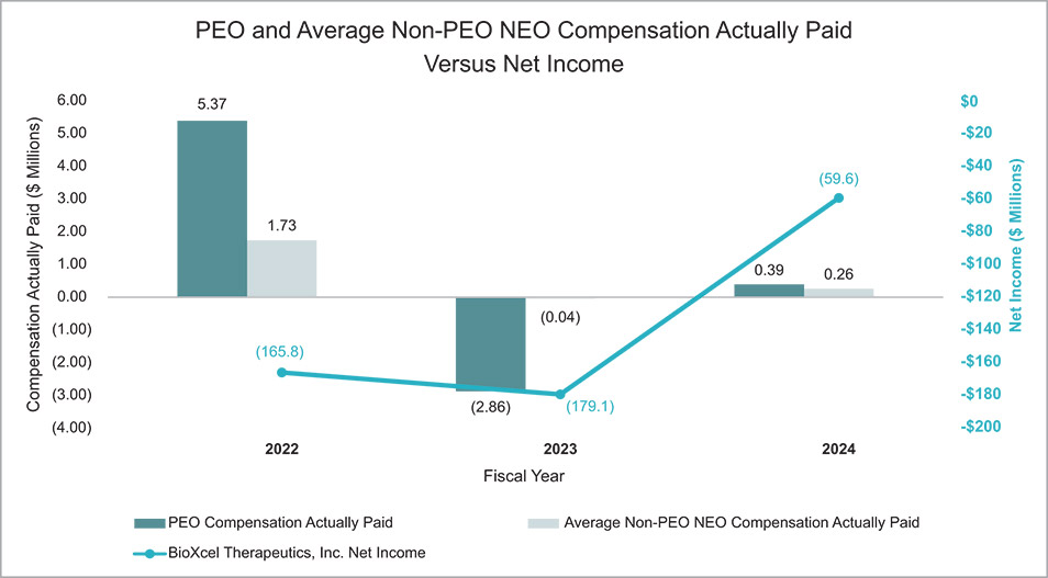 [MISSING IMAGE: bc_neticome-4c.jpg]