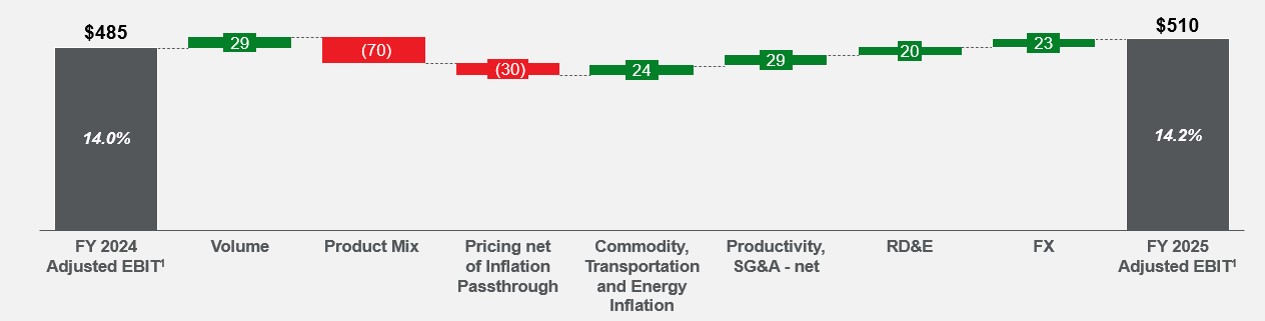 Q4 2025 YTD Adj EBIT Walk.jpg