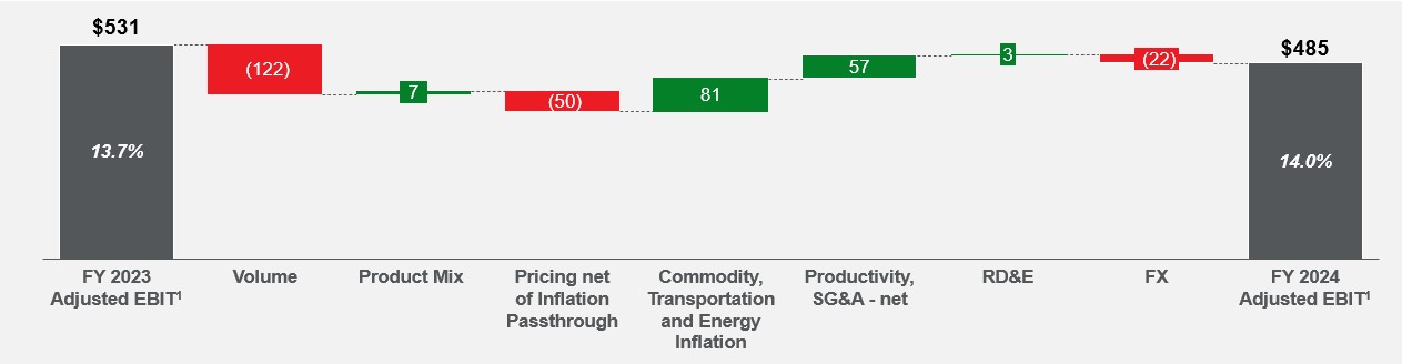 Q4 2024 YTD Adj EBIT Walk.jpg