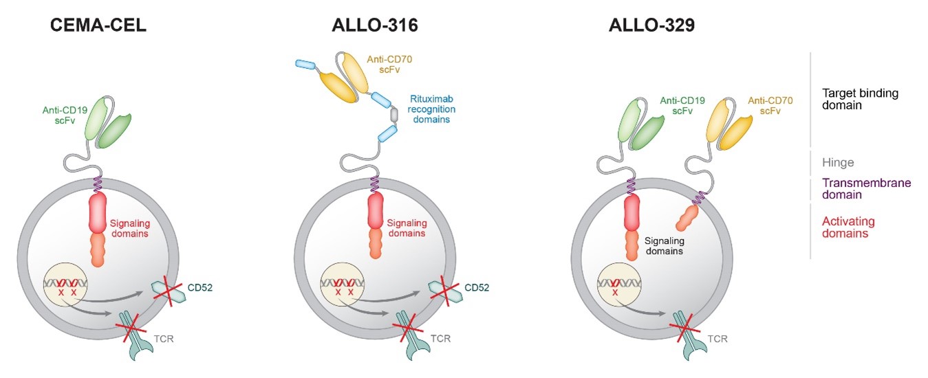 Business - picture 2 (updated).jpg