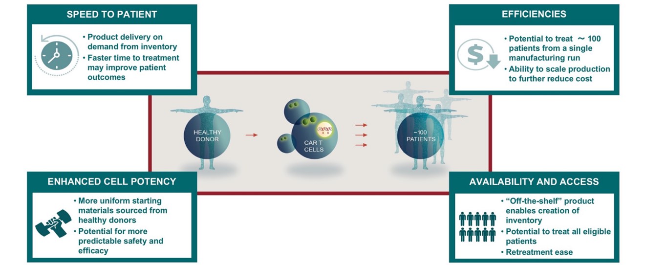 Business - picture 3.jpg