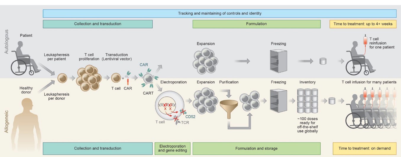 Business - picture 4.jpg
