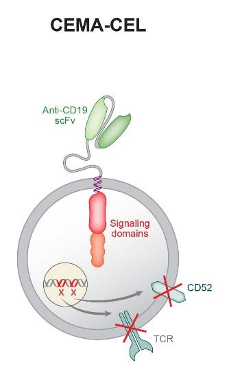 Business picture 9.jpg