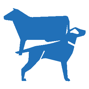 Elanco_Icons_Skills_1_AnimalHealth_Blue.gif