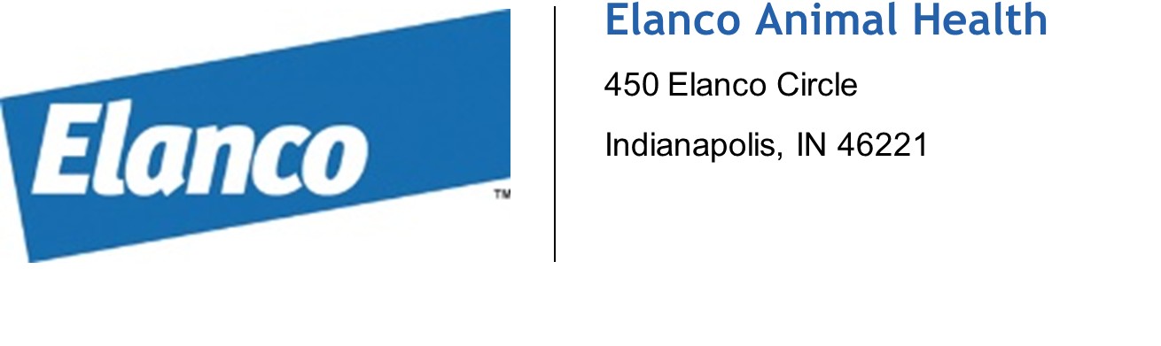 picture2a.jpg
