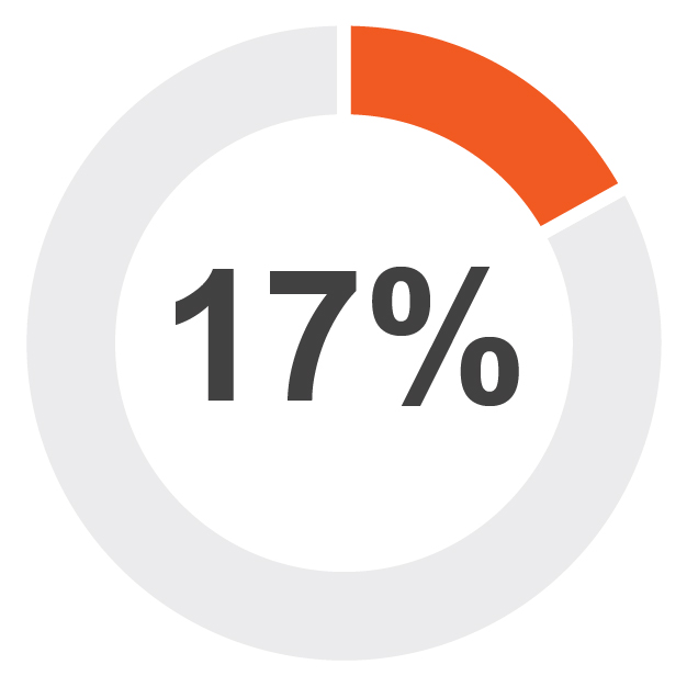 17%.jpg