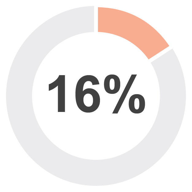 16%.jpg