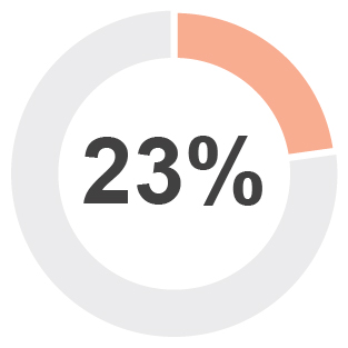 Compensation Pie Charts-05.jpg