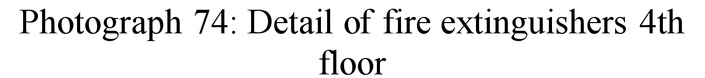 image_91.jpg
