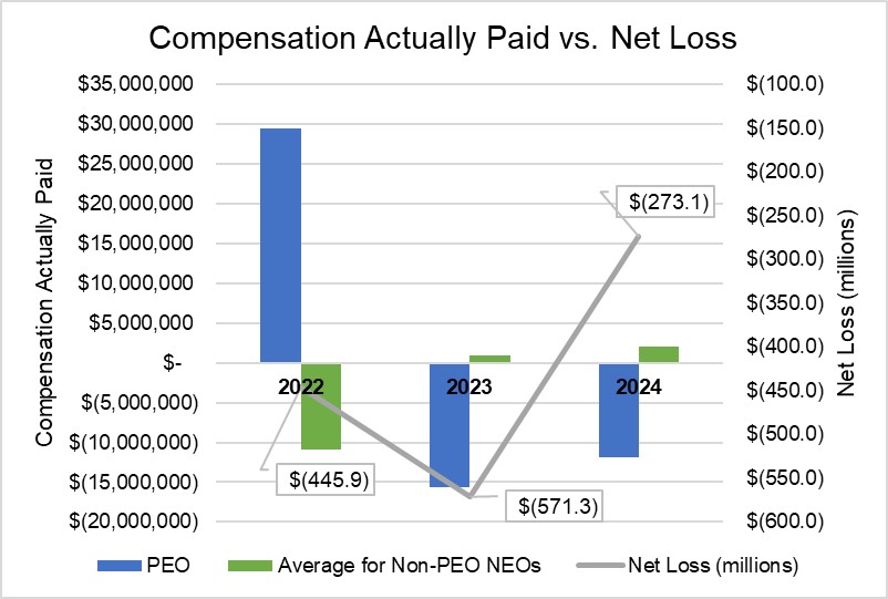Picture1_Compensation Actuall Paid vs. Net Loss.jpg