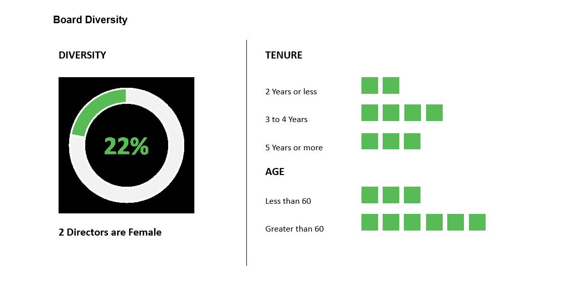 Diversity Matrix_Final.jpg