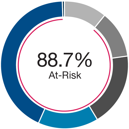03 PRO014020_piechart_ceo.jpg