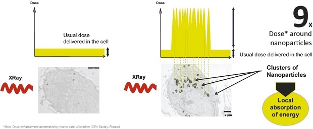NBTXR3 Nanoparticles.jpg