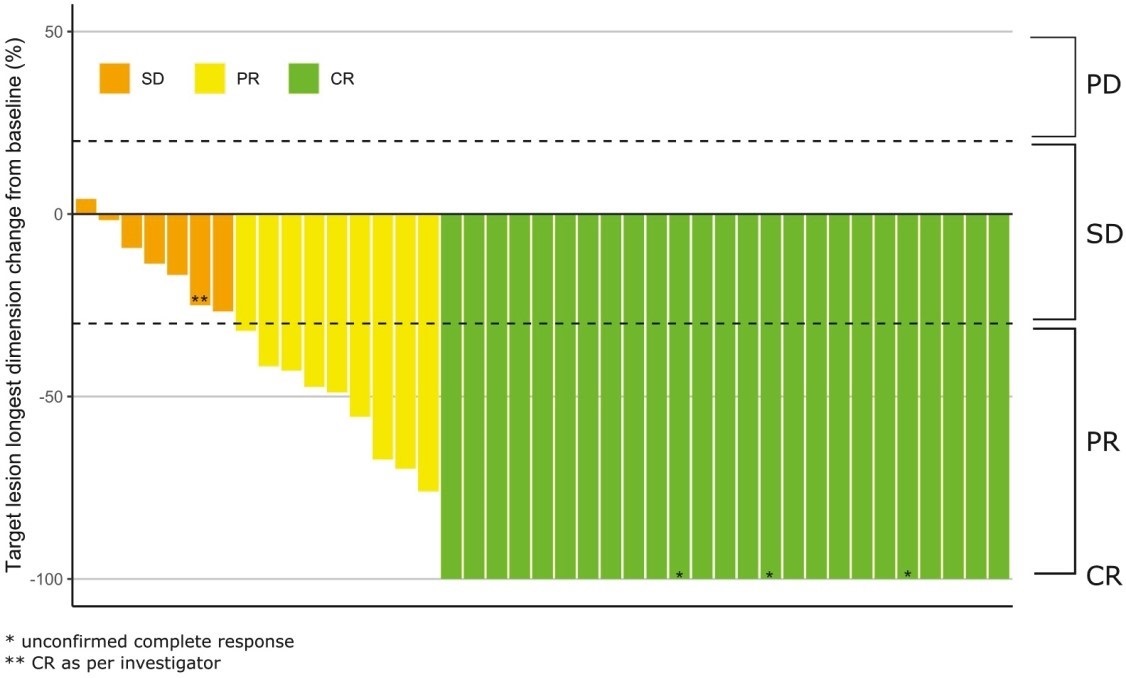 Target lesion 2021.jpg