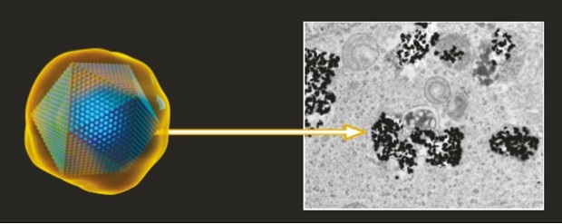 Nanoparticles 2021.jpg
