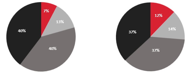 CEO and Average Other NEO Target Mix V2.jpg