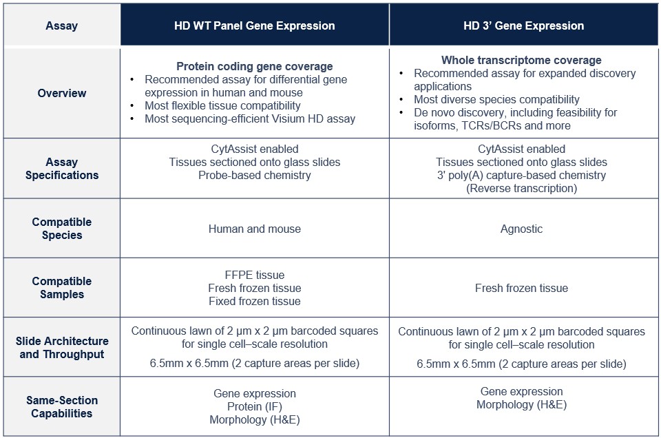 10x 2025 10K JPEG3.jpg