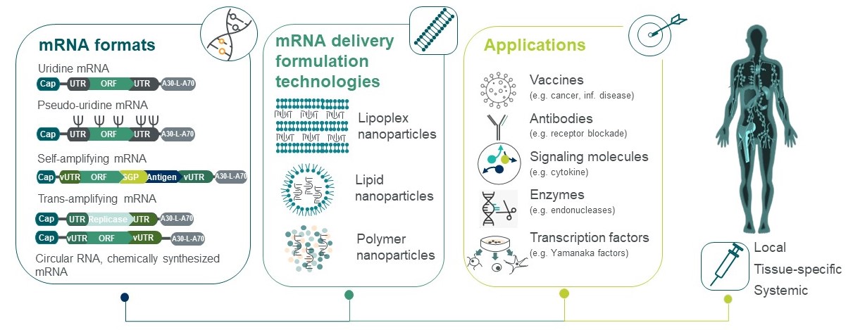 Images for 20F_Scientific section.jpg