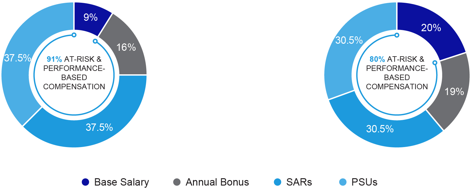 03_426221(3)_piechart_executiveComp.jpg