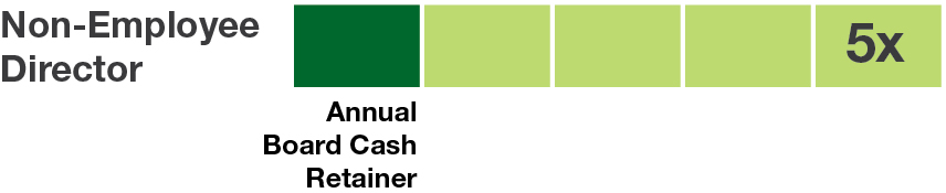 pg58_graphic_Non-employee Director.jpg