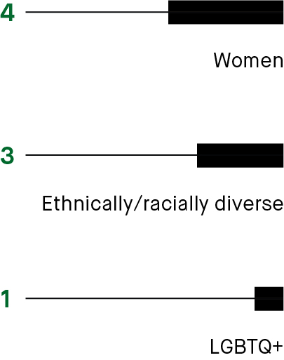 04_427412-1_gfx_director dashboard_diversity.jpg