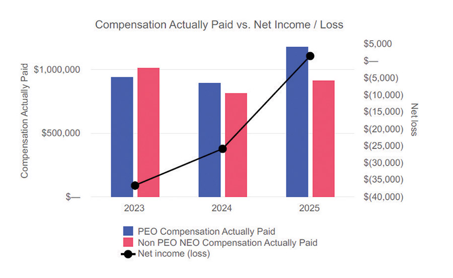[MISSING IMAGE: bc_compensationnetloss-4clr.jpg]
