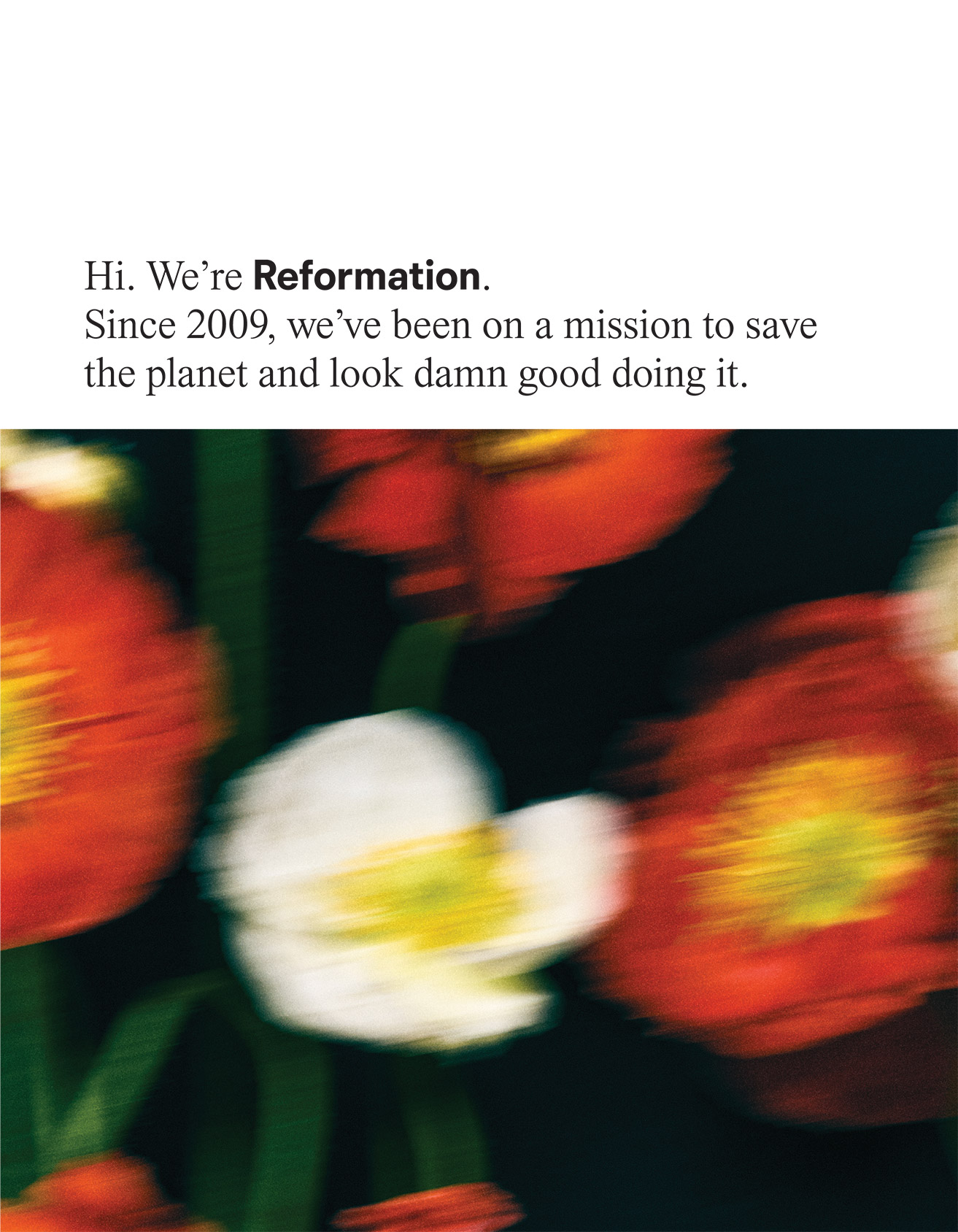 [MISSING IMAGE: pg_reformation02-4c.jpg]