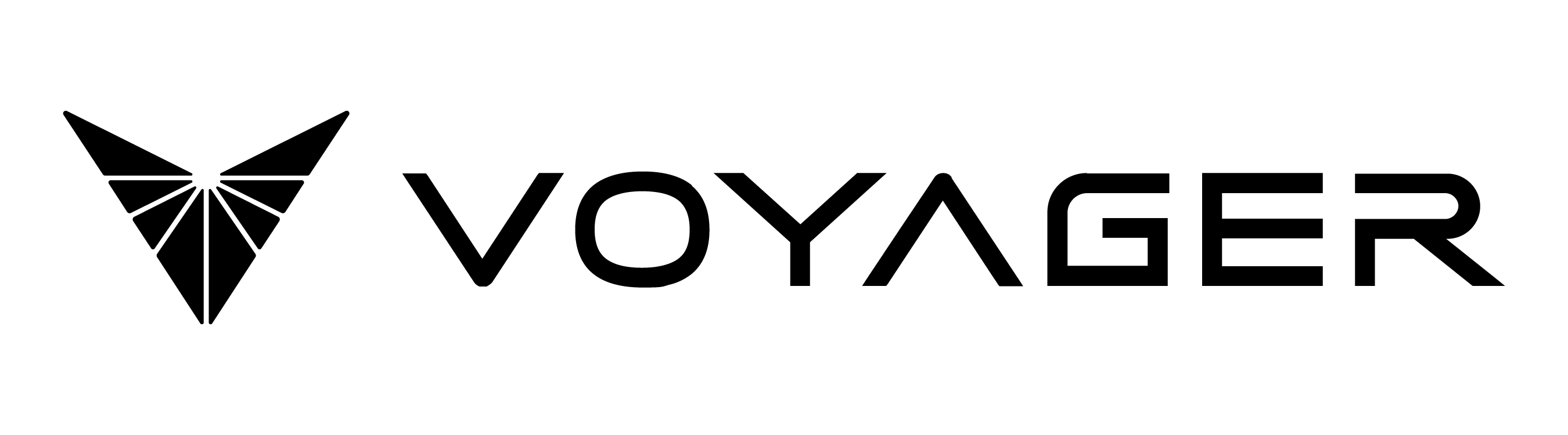 voyager_horizontallogoxblaa.jpg