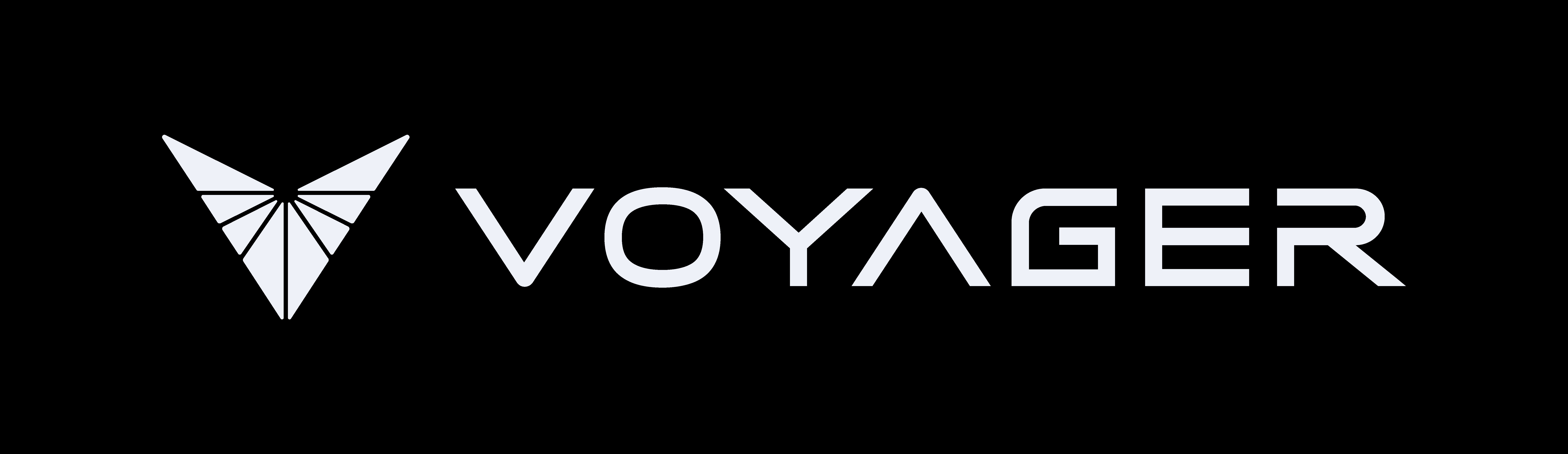 Voyager Logo - horizontal light.jpg