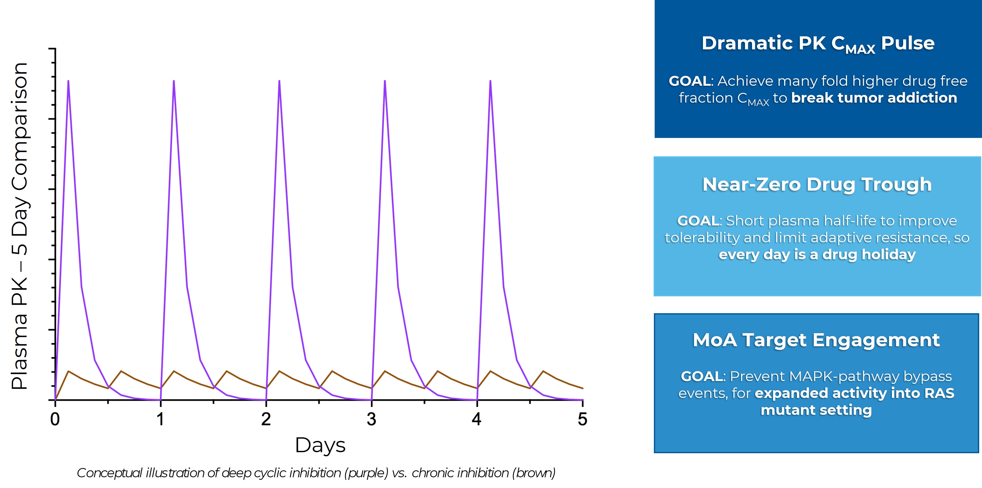 pg 9 - Slide 11 of Corporate Deck.jpg