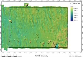 A close-up of a green and blue surface

AI-generated content may be incorrect.