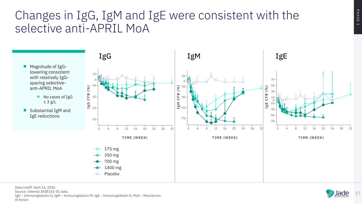 Slide 17