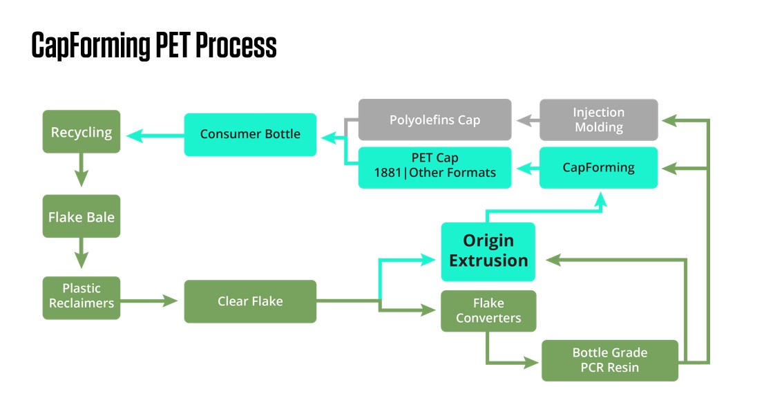 CapForming PET Process White Background.jpg