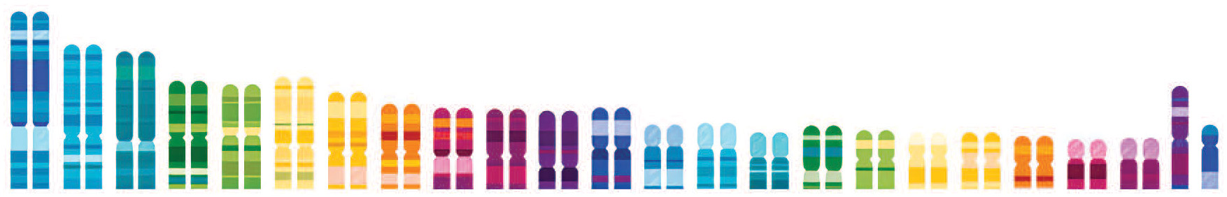 [MISSING IMAGE: ph_23andmecv-4c.jpg]