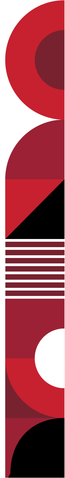 [MISSING IMAGE: tm223593d1-pg_pagesec4c.jpg]