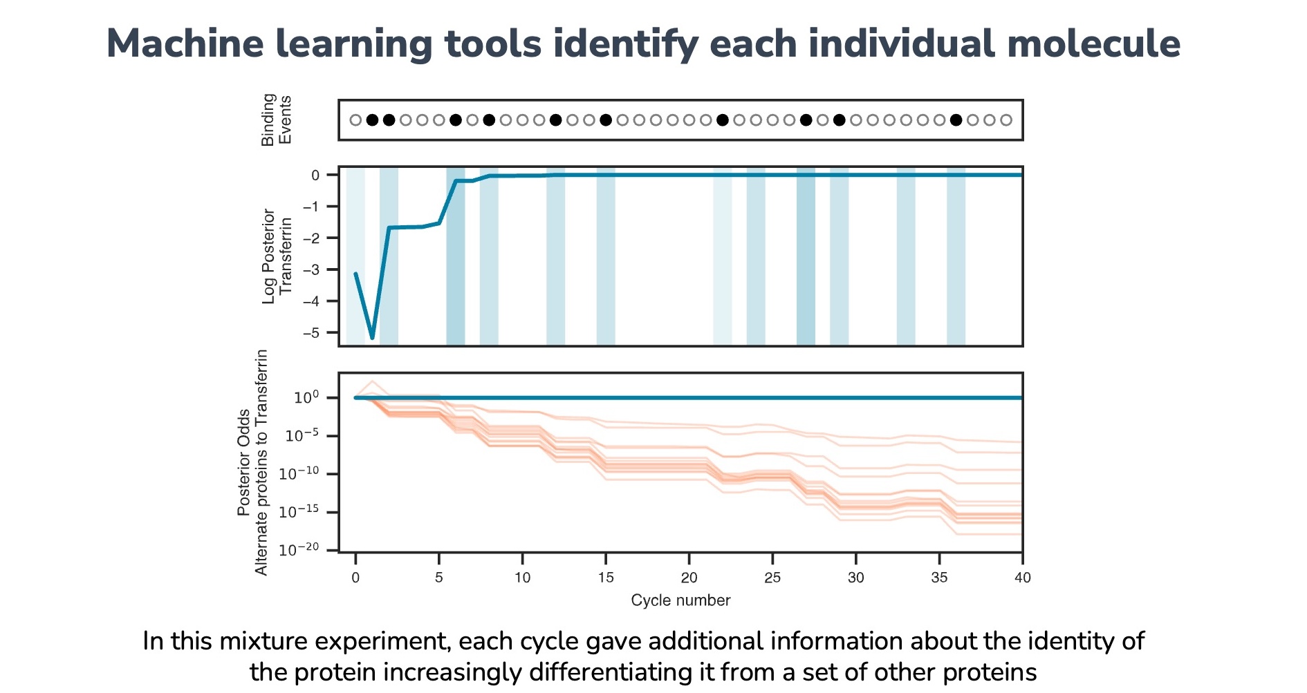 Machine Learning Protein Identification.jpg