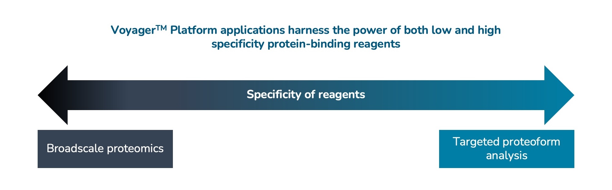 10K Applications slider.jpg