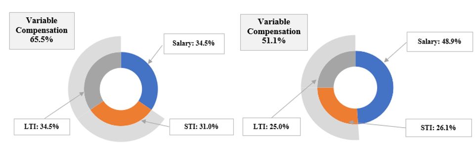 2023 CEO and Other NEO Pay Mix.jpg