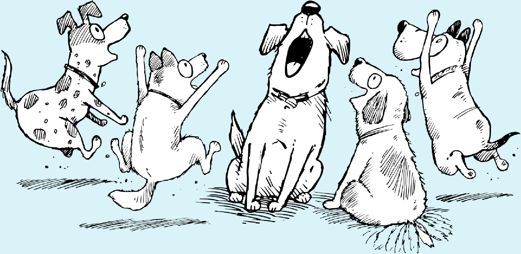 VECTOR ILLUSTRATIONS-13.jpg