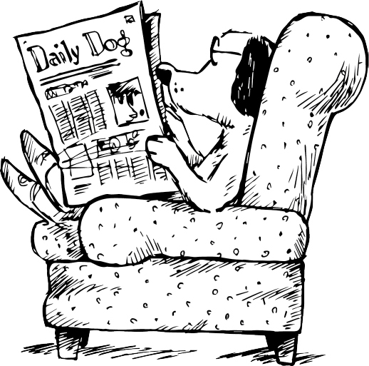 newsletter header-01.jpg