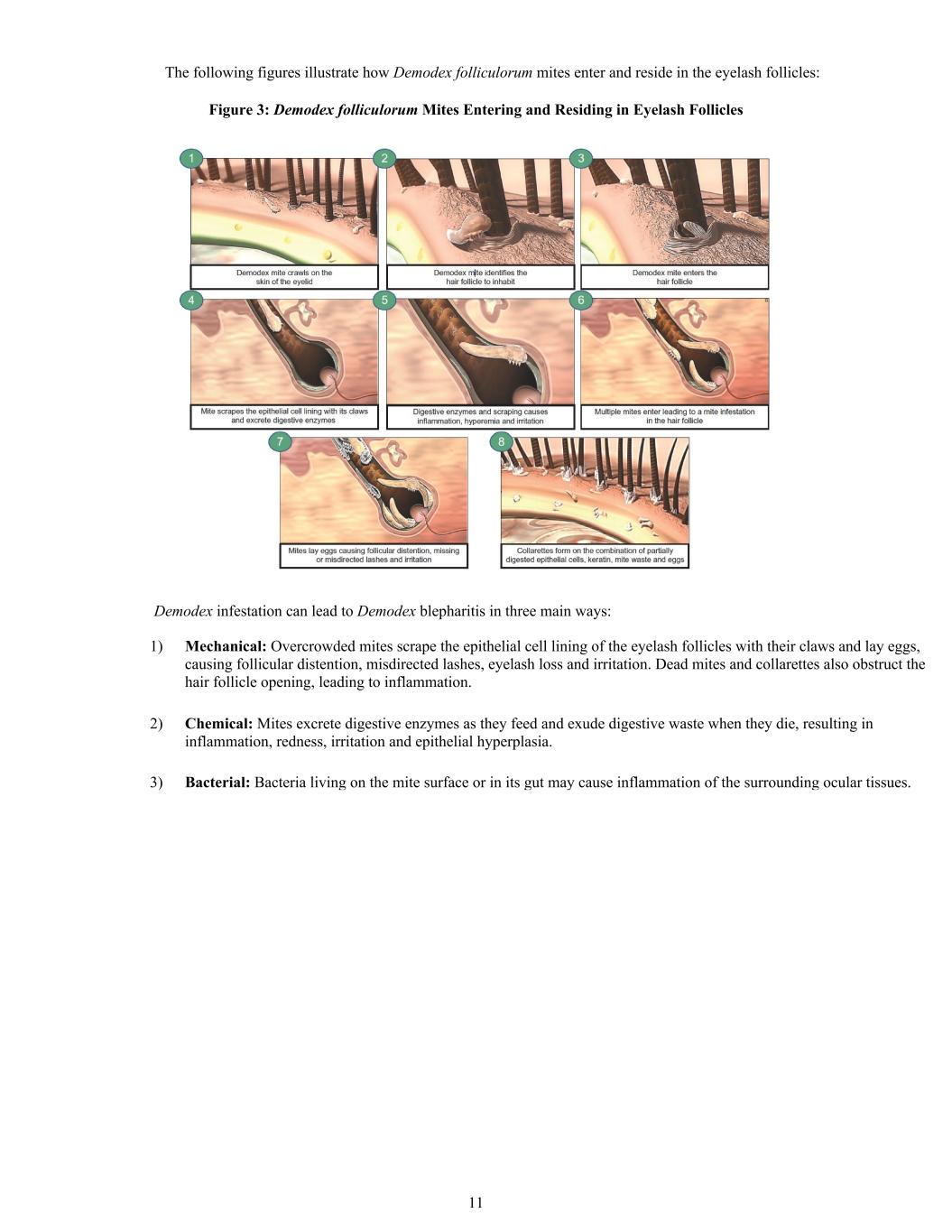 slide15