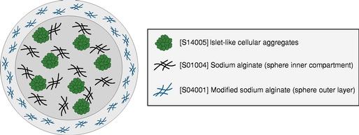A picture containing diagram
Description automatically generated