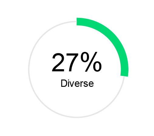 03_PRO014712_ACT_2026_PXY_Director Nominee Attributes_27% Diverse.jpg