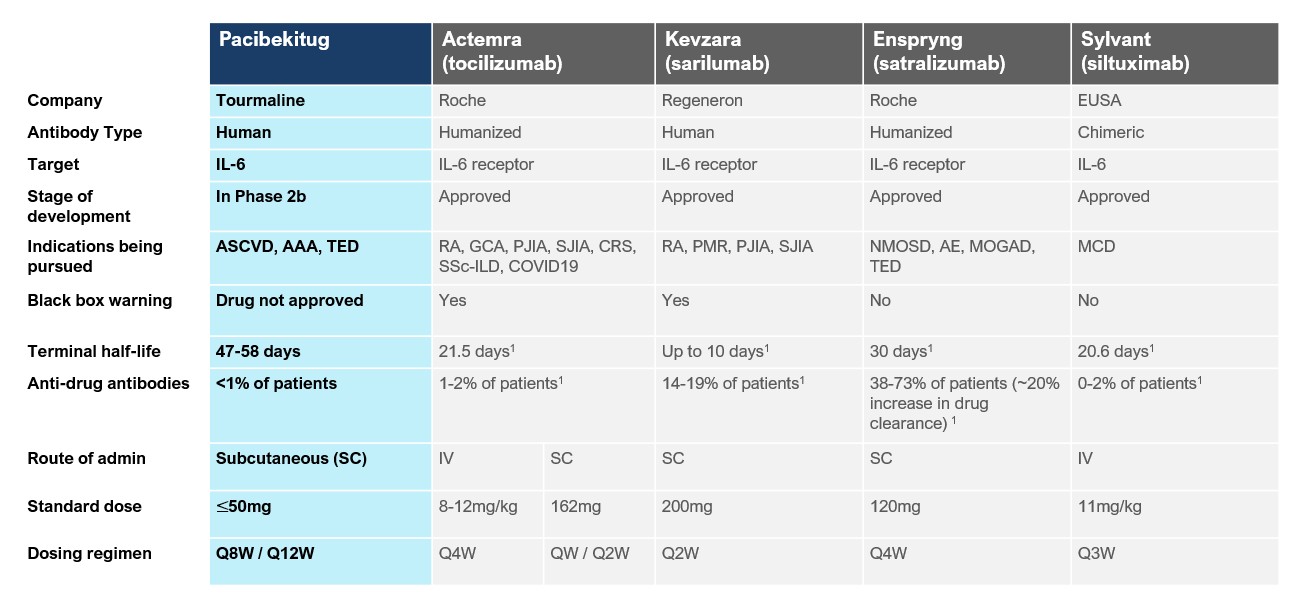 Pacibekitug’s potential profile for 10K 2025_02_19.jpg